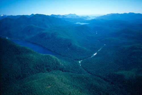 Strathcona Park at 100