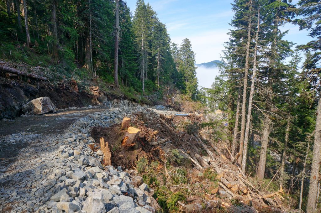 Teal Jones Group from blasting logging roads